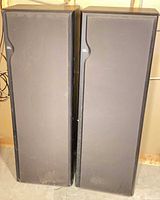 Front view of both JBL ND310 speakers with grills on
