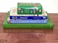 Stack of all five books showing titles and relative sizes