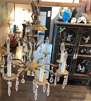 Full view of chandelier hanging, showing 8 arms and crystals