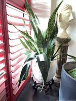 Full view of snake plant, pot and stand