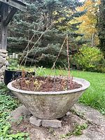 Side view of cement bowl planter showing shape and patina