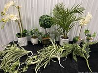 Group shot showing all six potted plants and loose greenery on table