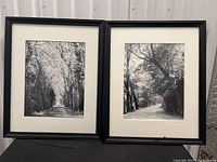 Both framed prints side by side showing frames and mats