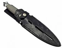 Knife in sheath, front view