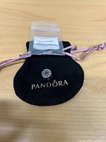 front view of Pandora pouch and charm in plastic dust cover