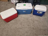 Three coolers side by side showing size and colour differences