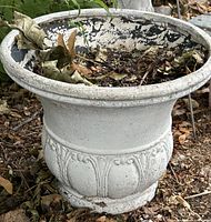 Full view of white resin urn planter showing overall design and weathered finish