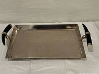 Top view of stainless steel rectangular tray showing entire surface and both horn handles