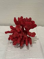 Front view of red coral specimen showing branching form