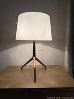 Full view of one lamp on tabletop showing shade, brass tripod base, power cord