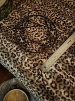 Black metal wire stand captured with ruler for scale