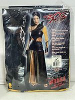 Front view of sealed Artemisia costume package