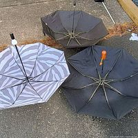 All three umbrellas opened, showing zebra and black canopies