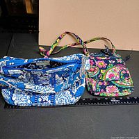 Both bags side by side showing size and patterns with ruler for scale