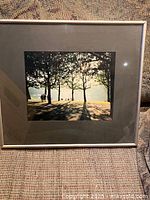 Overall view of framed photograph showing image, mat and metal frame