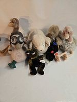 Group shot of all plush animals lined together