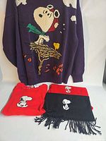 Sweater, folded T-shirt, and two scarves displayed