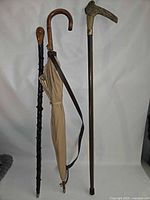 Group shot of two canes and umbrella standing upright