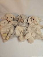 Group view of all three Steiff rabbit puppets