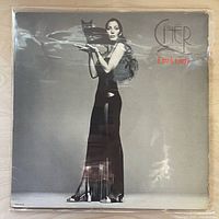 Front cover of Cher Dark Lady LP in plastic sleeve
