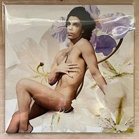 Front cover showing Prince "Lovesexy" album art in protective sleeve