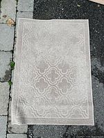 Full view of the small beige rug on pavement showing overall design and condition