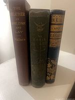 Spines of all three books showing titles and decorative designs