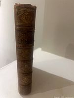 Spine of leather bound book showing raised bands and gilt detail, wear at head