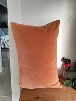 Peach velvet cushion upright showing color and fabric texture