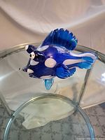 Left side view of blue art glass fish showing color pattern and fins