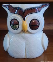 Front view of cream ceramic owl planter showing facial details and glaze colors