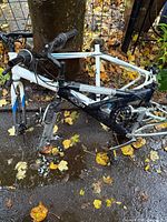 Two stripped bicycle frames leaning against tree