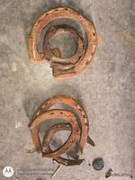 Two clusters of seven rusted iron horseshoes on concrete floor