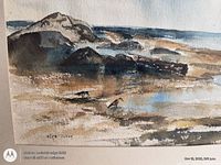 close-up of beach scene showing rocks, water and birds