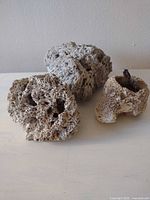 Three coral pieces on tabletop