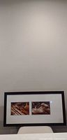 Full view of framed artwork showing two photographic images and overall size
