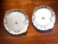 Two Haviland Limoges plates displayed side by side