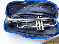 Trumpet inside soft case view 1