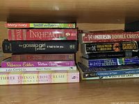 All books on shelf showing spines and one front cover