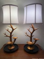 Both lamps illuminated to show design, shades, and bases