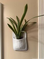 Wall pocket vase with plant displayed