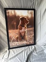 Full view of black Studio Décor 18x24 frame with stock photo insert