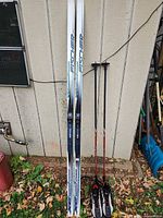 Skis, poles and boots together for scale