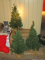 Three faux pine tabletop trees with burlap bases in front of boxes