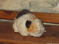 Left side of Steiff "Swinny" guinea pig plush