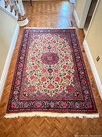 Full view of entire rug showing pattern and fringe