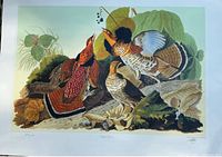 Full view of Audubon Ruffed Grouse print with border and artwork