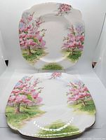 Both Blossom Time plates front view showing pattern and shape