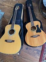 Both acoustic guitars in gig bags