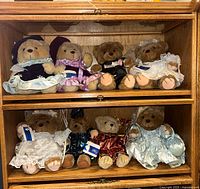 All seven bears on two shelves showing outfits and tags